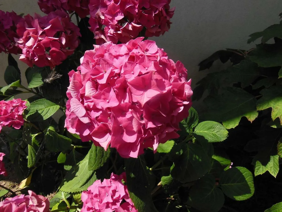 Ty An Eol Bed and Breakfast Saint-Évarzec Bed & Breakfast